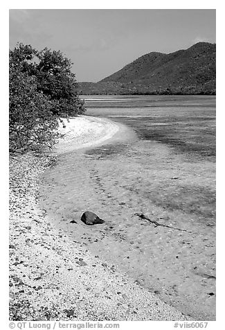 Sandy shoreline, Leinster Bay. Virgin Islands National Park (black and white)