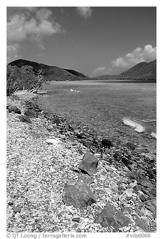 Shore and Turquoise waters, Leinster Bay. Virgin Islands National Park (black and white)