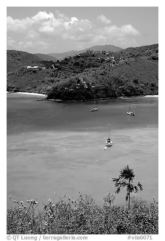 Tropical anchorage, Francis Bay. Virgin Islands National Park (black and white)