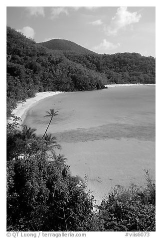 Tropical hills and beach, Hawksnest Bay. Virgin Islands National Park (black and white)