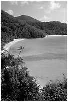 Tropical hills and beach, Hawksnest Bay. Virgin Islands National Park ( black and white)