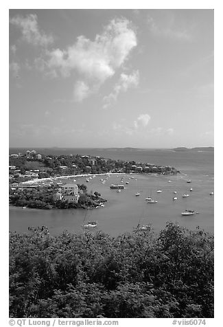 Cruz Bay harbor. Saint John, US Virgin Islands (black and white)