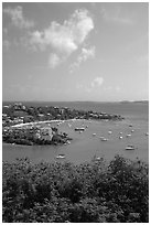 Cruz Bay harbor. Saint John, US Virgin Islands ( black and white)