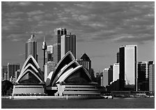 Opera House and high rise buildings. Sydney, New South Wales, Australia ( black and white)