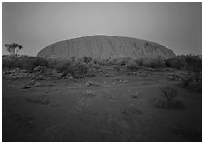 Ayers Rock at dawn. Uluru-Kata Tjuta National Park, Northern Territories, Australia (black and white)