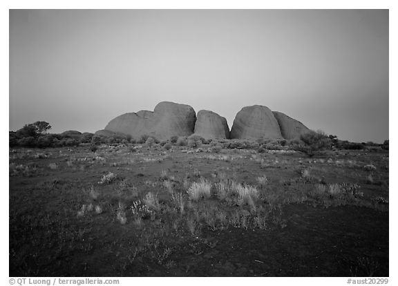 Olgas at dusk. Olgas, Uluru-Kata Tjuta National Park, Northern Territories, Australia (black and white)