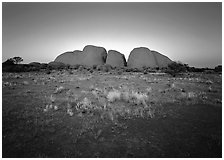 Olgas at sunset. Olgas, Uluru-Kata Tjuta National Park, Northern Territories, Australia ( black and white)