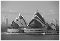 Opera house. Sydney, New South Wales, Australia ( black and white)