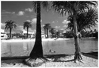 Artificial beach, complete with sand and palm trees. Brisbane, Queensland, Australia ( black and white)