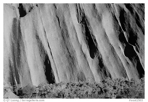 Walls of Ayers Rock. Uluru-Kata Tjuta National Park, Northern Territories, Australia (black and white)