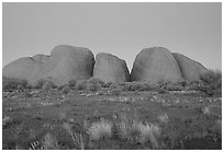 Olgas, dusk. Olgas, Uluru-Kata Tjuta National Park, Northern Territories, Australia ( black and white)