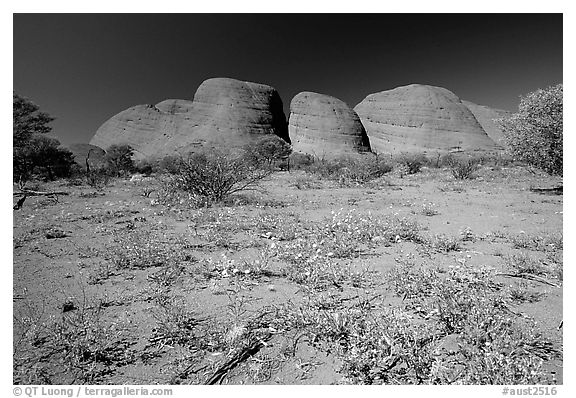 Olgas, mid-day. Olgas, Uluru-Kata Tjuta National Park, Northern Territories, Australia (black and white)