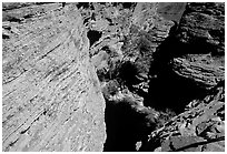 Kings Canyon walls,  Watarrka National Park. Northern Territories, Australia ( black and white)