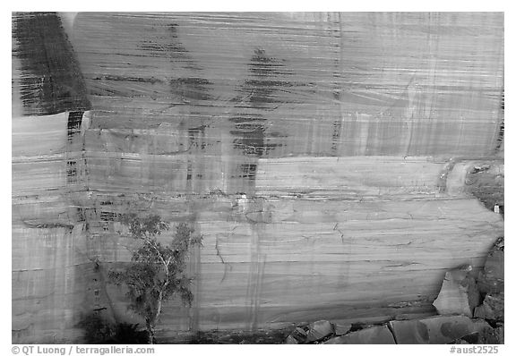 Rock wall striated with desert varnish in Kings Canyon,  Watarrka National Park. Northern Territories, Australia
