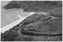 Aerial meandering river in rainforest and beach near Cape Tribulation. Queensland, Australia (black and white)