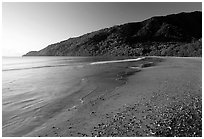 Beach near Cape Tribulation. Queensland, Australia ( black and white)