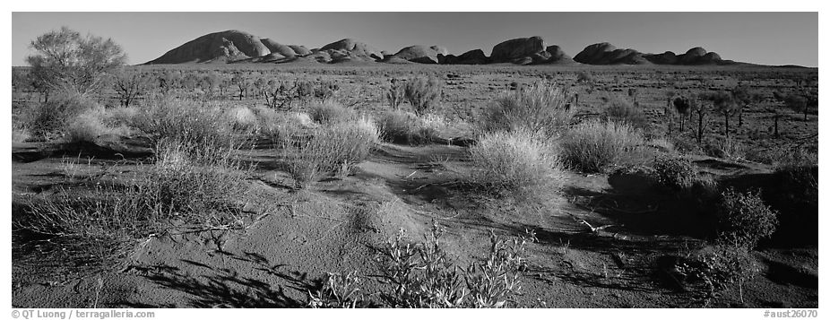Outback landscape, Olgas. Olgas, Uluru-Kata Tjuta National Park, Northern Territories, Australia (black and white)