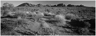 Outback landscape, Olgas. Olgas, Uluru-Kata Tjuta National Park, Northern Territories, Australia (Panoramic black and white)