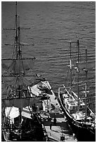 Historic Sailboats in harbour. Sydney, New South Wales, Australia ( black and white)