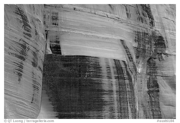 Desert vanish on a rock wall in  Kings Canyon,  Watarrka National Park. Northern Territories, Australia (black and white)