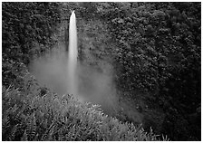 Akaka Falls. Akaka Falls State Park, Big Island, Hawaii, USA ( black and white)