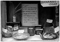 Self-serve local produce stand. Big Island, Hawaii, USA ( black and white)