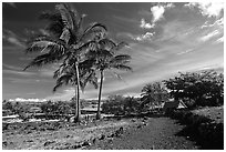 Lapakahi historical park. Big Island, Hawaii, USA ( black and white)