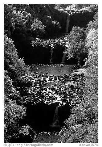 Umauma Falls. Big Island, Hawaii, USA (black and white)