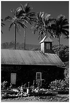 Church (1860) and palm trees, Keanae Peninsula. Maui, Hawaii, USA ( black and white)