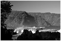 Steep Hana coast seen from the Keanae Peninsula. Maui, Hawaii, USA ( black and white)