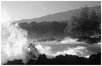 Crashing wave, Keanae Peninsula. Maui, Hawaii, USA ( black and white)