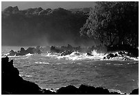Crashing surf, Keanae Peninsula. Maui, Hawaii, USA ( black and white)