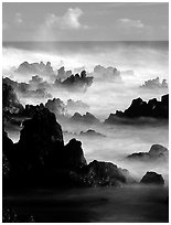 Rocks and waves at sunrise, Keanae Peninsula. Maui, Hawaii, USA (black and white)