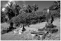 Japanese cemetery in Hana. Maui, Hawaii, USA (black and white)