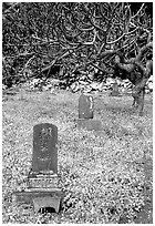 Historic Japanese cemetery in Hana. Maui, Hawaii, USA (black and white)
