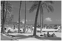 Beach scene with palm trees. Waikiki, Honolulu, Oahu island, Hawaii, USA ( black and white)