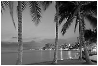 Palm trees and Waikiki beach at dusk. Waikiki, Honolulu, Oahu island, Hawaii, USA ( black and white)