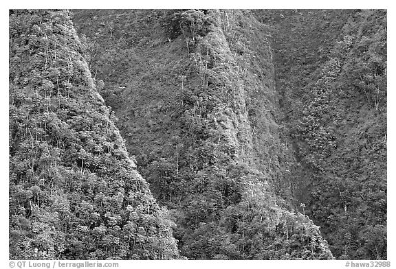Steep ridges near Pali Highway, Koolau Mountains. Oahu island, Hawaii, USA (black and white)