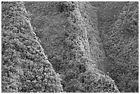 Steep ridges near Pali Highway, Koolau Mountains. Oahu island, Hawaii, USA ( black and white)