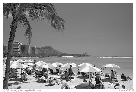 Sun shades on Waikiki Beach. Waikiki, Honolulu, Oahu island, Hawaii, USA (black and white)