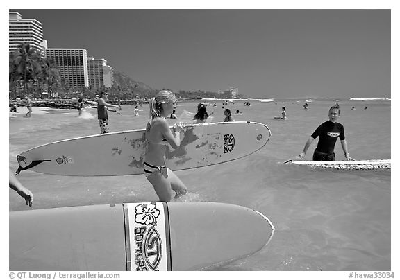 Surfers entering the water with boards, Waikiki Beach. Waikiki, Honolulu, Oahu island, Hawaii, USA (black and white)