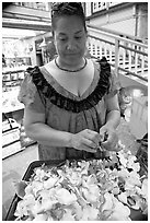Woman preparing a fresh flower lei, International Marketplace. Waikiki, Honolulu, Oahu island, Hawaii, USA (black and white)