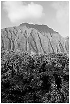 Tropical forest and fluted  Koolau Mountains. Oahu island, Hawaii, USA ( black and white)