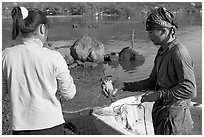 Fisherman giving a freshly caught crab to his wife, Kaneohe Bay, morning. Oahu island, Hawaii, USA ( black and white)