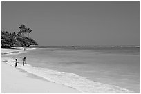 Beach, north shore. Oahu island, Hawaii, USA (black and white)