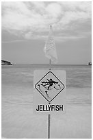 Sign warning against jellyfish,  Hanauma Bay. Oahu island, Hawaii, USA ( black and white)