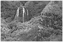 Opaekaa Falls and cliff. Kauai island, Hawaii, USA ( black and white)