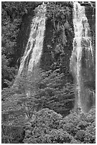 Opaekaa Falls. Kauai island, Hawaii, USA ( black and white)