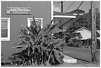 Side of a store building, Hanapepe. Kauai island, Hawaii, USA ( black and white)