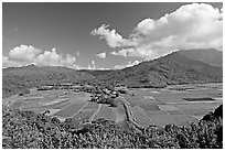Hanalei Valley from Hanalei lookout. Kauai island, Hawaii, USA (black and white)